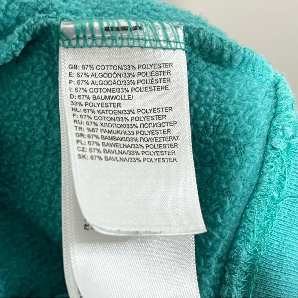The North Face Aqua Pullover Hoodie